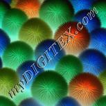 Colour:F