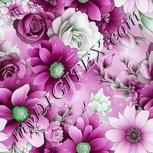 Colour:C