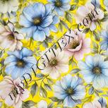 Colour:A