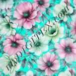 Colour:C