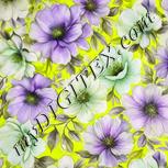 Colour:D