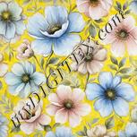 Colour:A