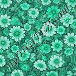 Colour:C