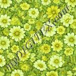 Colour:K