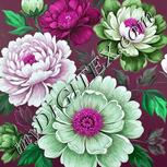 Colour:B