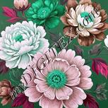Colour:C