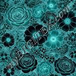 Colour:F