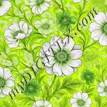 Colour:D