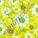 Colour:K