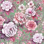 Colour:B