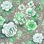 Colour:C