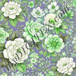 Colour:D