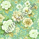 Colour:K