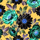 Colour:F