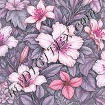 Colour:B