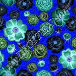 Colour:F
