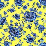 Colour:F