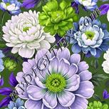 Colour:D