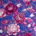 Colour:A