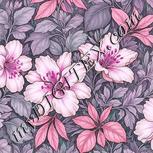 Colour:B