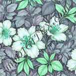 Colour:C