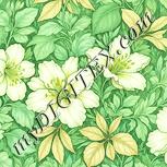 Colour:K