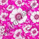 Colour:B