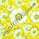 Colour:K