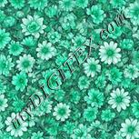 Colour:C