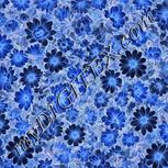 Colour:F