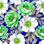 Colour:D