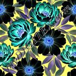 Colour:F