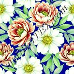Colour:K
