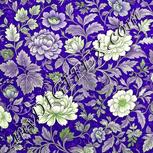 Colour:D