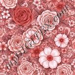 Colour:B
