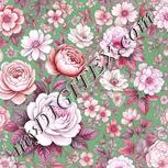 Colour:B