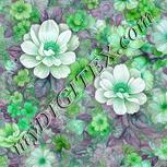 Colour:C