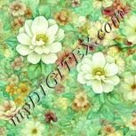 Colour:K