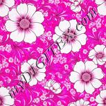 Colour:B