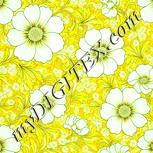 Colour:K