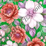 Colour:B