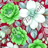 Colour:C