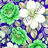 Colour:D