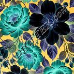 Colour:F