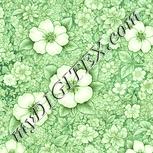 Colour:K