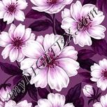 Colour:B