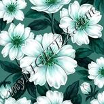 Colour:C
