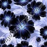 Colour:F