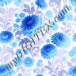 Colour:F