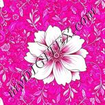 Colour:B